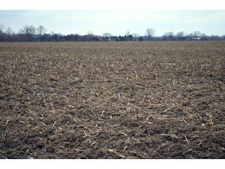 Property photo 30 - 175 Acres Offered in 5 Tracts - Tontogany, Ohio Farm Land Auction